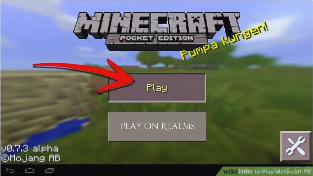 Buy Minecraft PE on Mobile APP Store