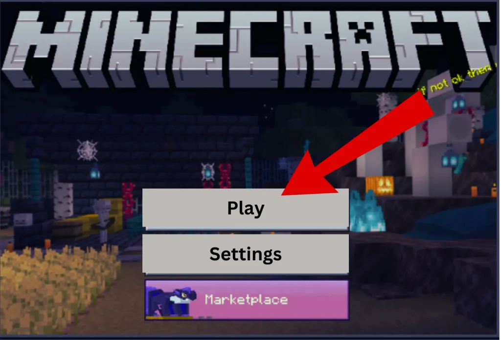 Open the Multiplayer server on your device.
Press the Play Button.
