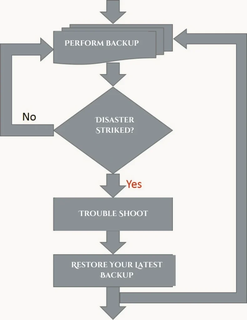 Perform, Execute and restore the Backup process best practices